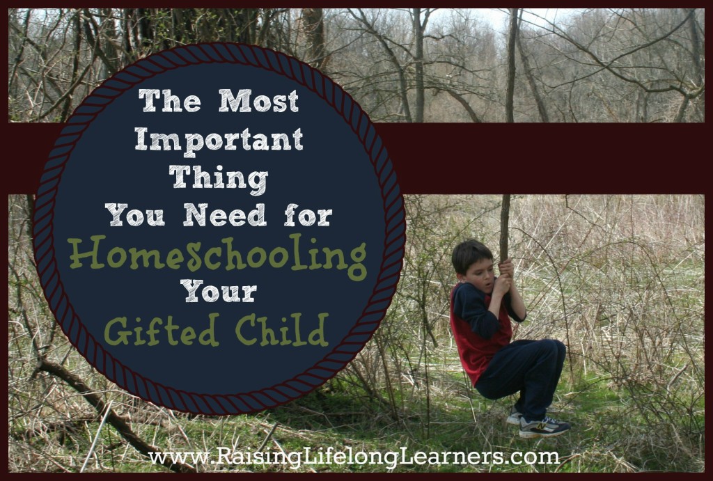 The Most Important Thing You Need for Homeschooling Your Gifted Child via www.RaisingLifelongLearners.com (1)