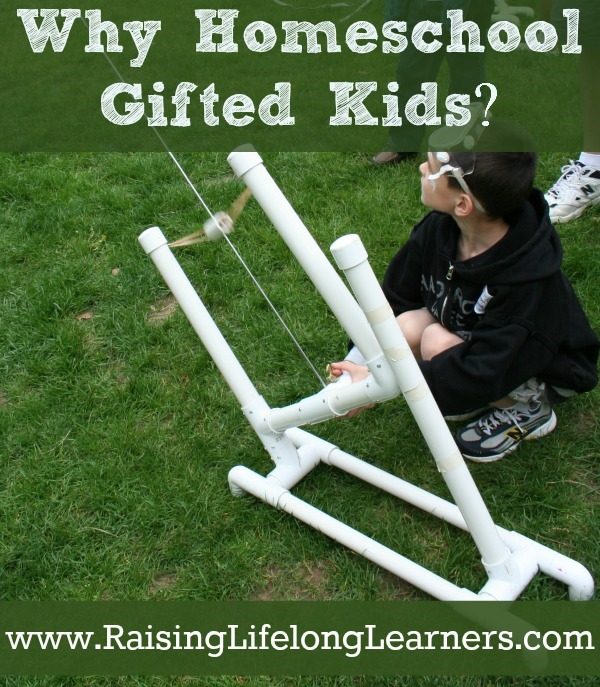 The Ultimate Guide to Homeschooling Gifted Children via www.RaisingLifelongLearners.com