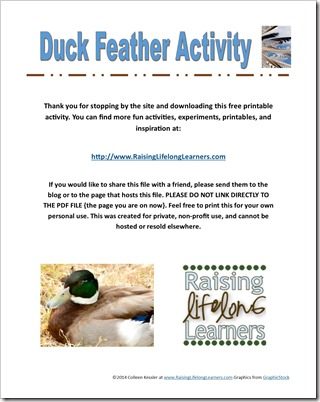 Duck Feather Science for a Gifted or Advanced Preschool Farm Theme #playfulPreschool