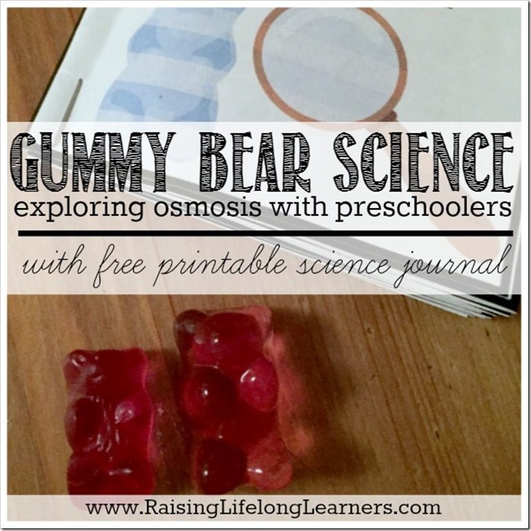 osmosis experiment with gummy bears