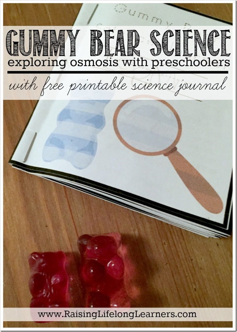 Gummy Bear Science Exploring Osmosis With Preschoolers