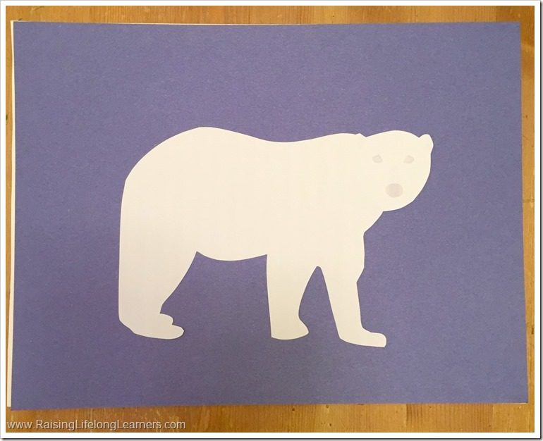 animal adaptation polar bear