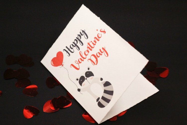 Cute Raccoon Valentines Day Card - Free Printable