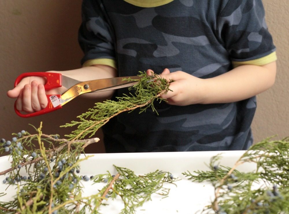 Explore nature, botany, and art all at the same time in this nature wreaths STEAM activity for kids! Explore winter and learn!