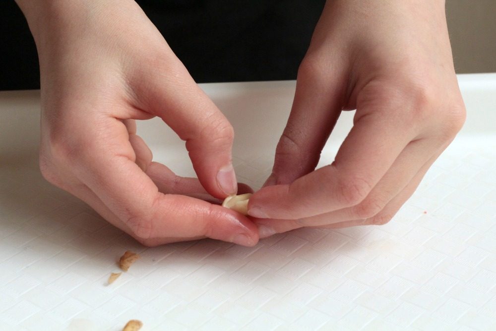 Learn about the parts of a seed in this simple activity to dissect a bean seed. It's a simple kitchen science project all kids will love!