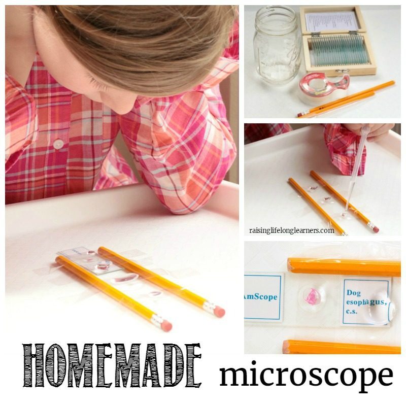 You won't believe how easy it is to make your own microscope! This homemade microscope has a magnification of 4 times the human eye!