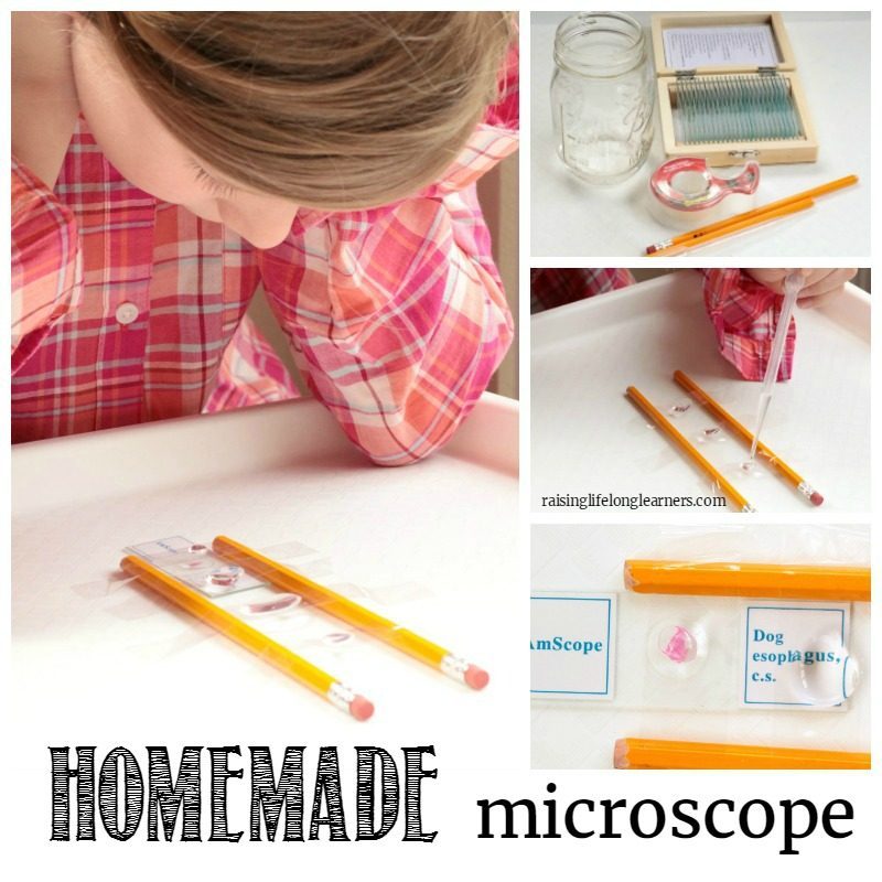 simple microscope experiments