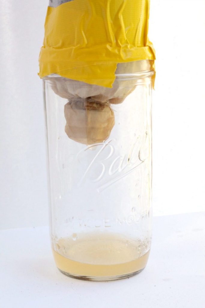 Sand Filter Science Experiment - Raising Lifelong Learners
