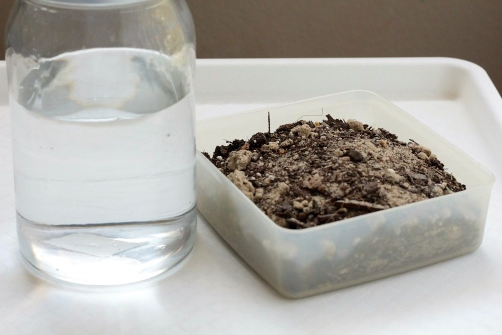 Learn all about how rocks are made in this super-fun outdoor science experiment for kids! Investigate a sediment jar and see how rock layers are formed.