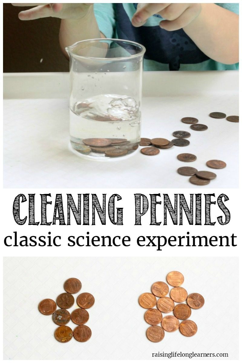 science experiment penny