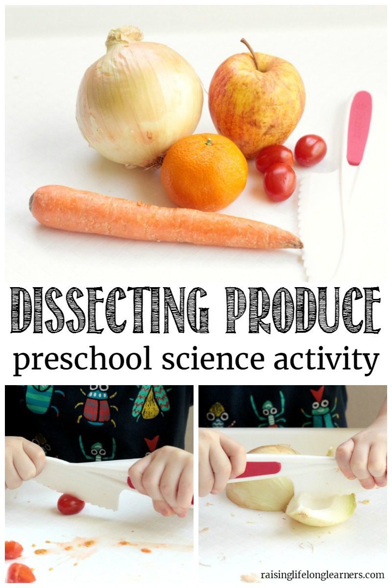 preschoolers will love learning about the parts of different vegetables