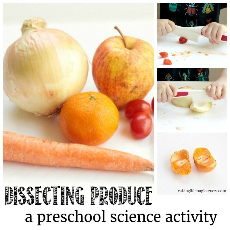 Preschoolers will love learning about the parts of different vegetables in the dissecting vegetables activity. It's a perfect preschool science experiment!