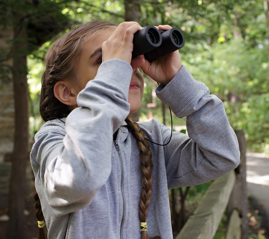 Summer Camp at Home Nature Week