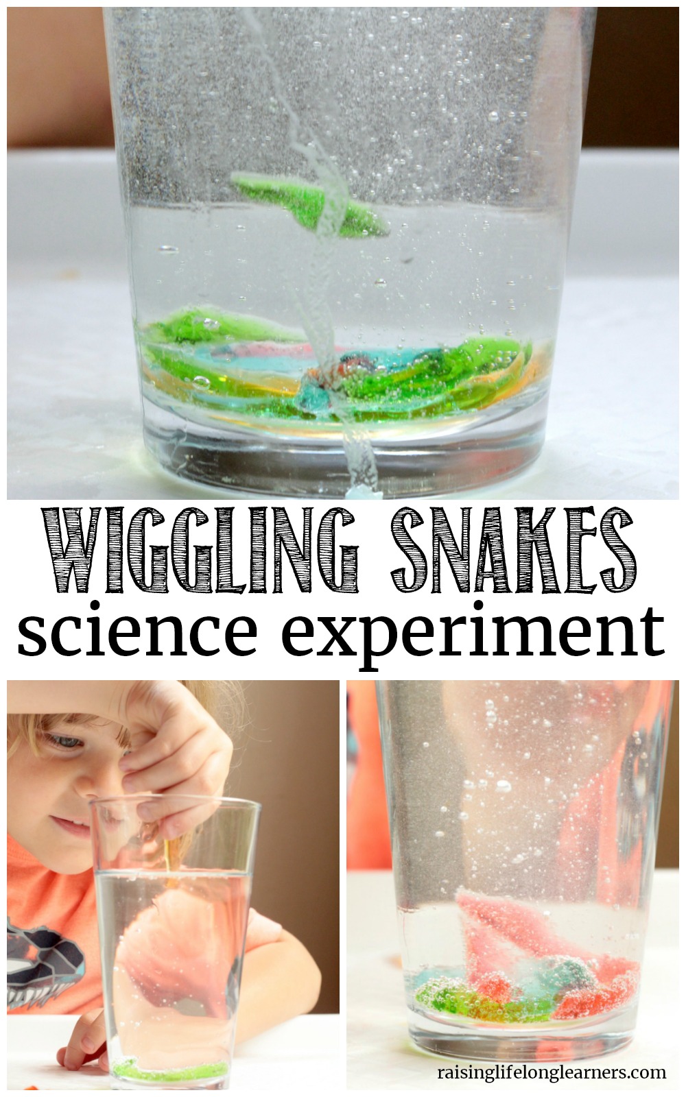 Wiggling Snakes Science Experiment - Raising Lifelong Learners