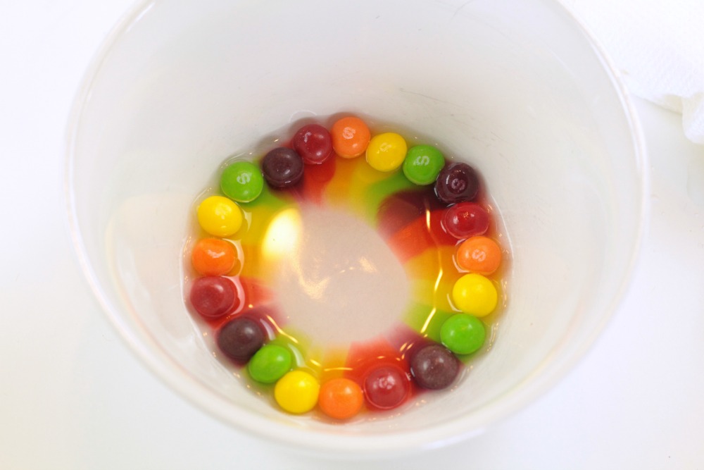 rainbow experiment with skittles