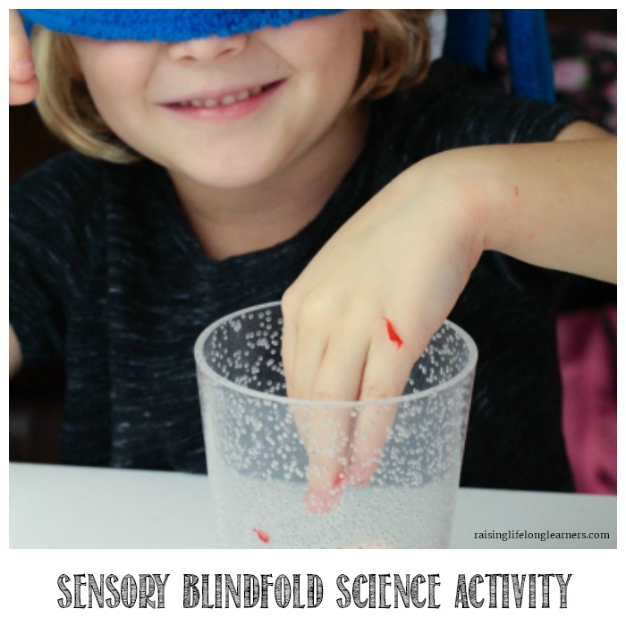 Explore your senses in this sensory blindfold science activity perfect for preschoolers and kindergarten kids. Science has never been so fun!