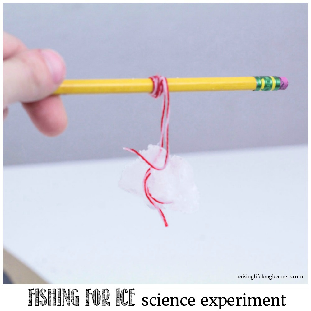 Make science cool, literally, with this fun fishing for ice science experiment. Kids will love how easy it is to make an experiment that wows!