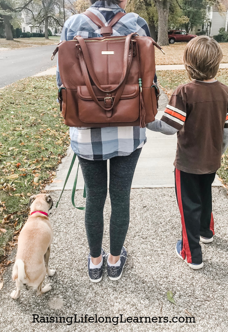 The Perfect Mom Bag - Lily Jade Meggan Bag