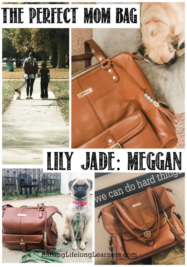 The Perfect Mom Bag - Lily Jade Meggan Bag