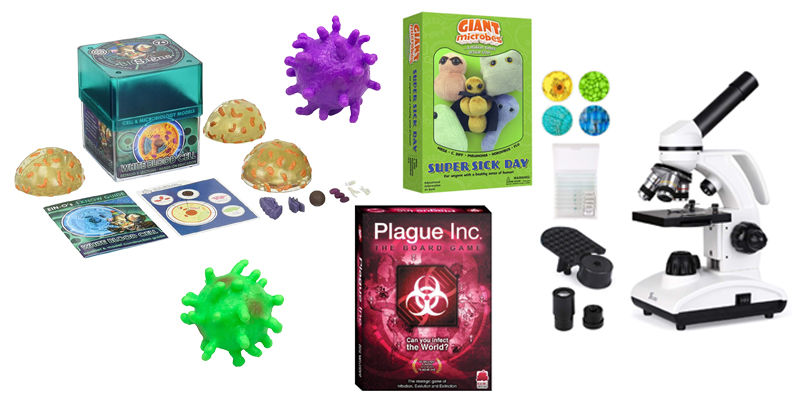 Awesome Extras For an Immunology Study