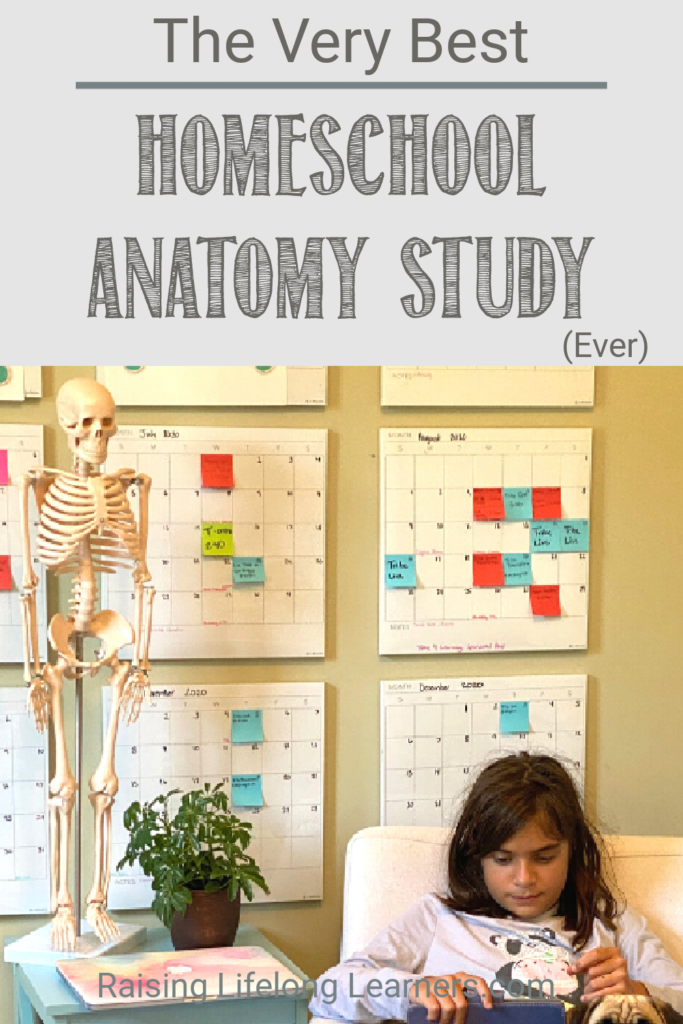 The Best Homeschool Human Body Study Ever