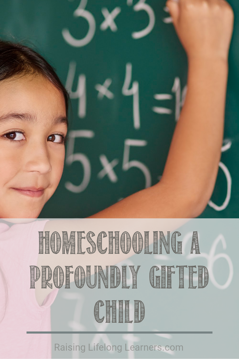 homeschooling profoundly gifted