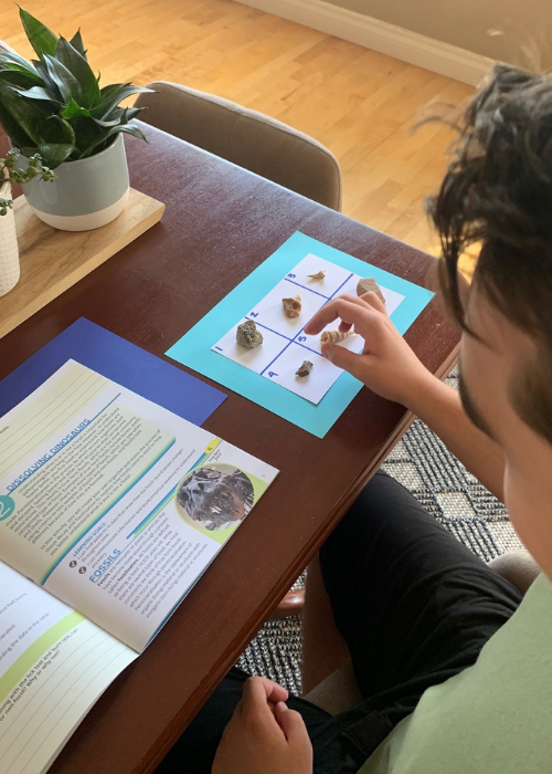The Very Best Interest-Led Option For Homeschool Science