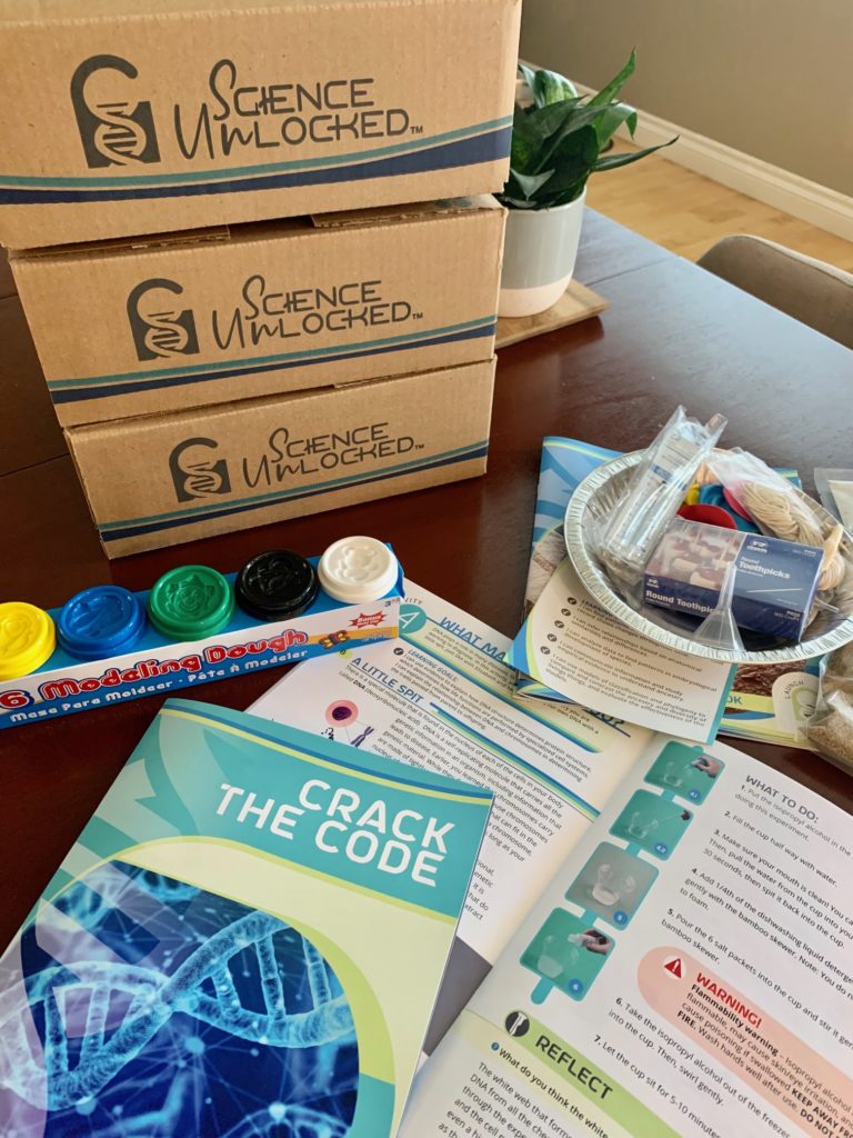 The Very Best Interest-Led Option For Homeschool Science