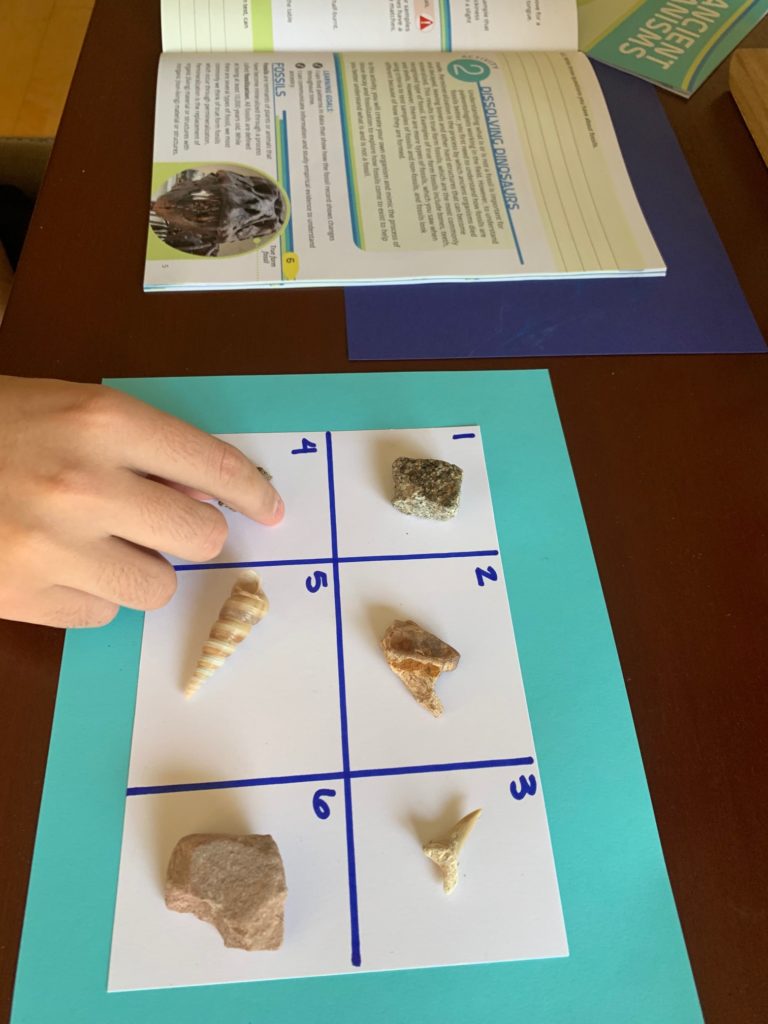 The Very Best Interest-Led Option For Homeschool Science