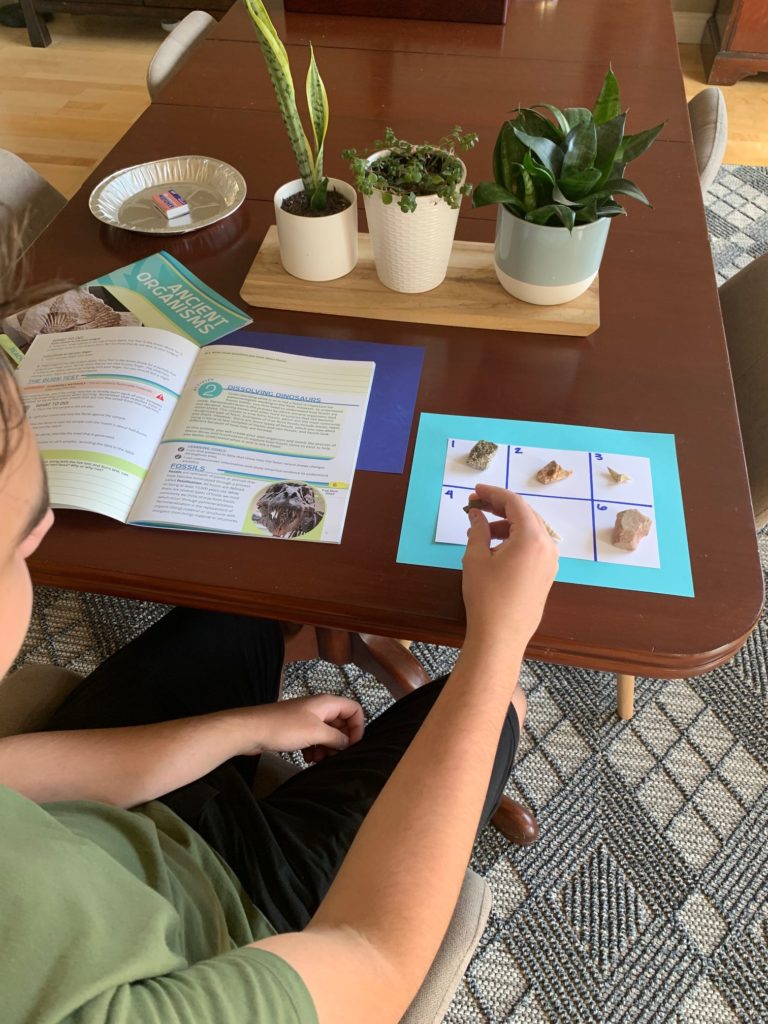 The Very Best Interest-Led Option For Homeschool Science