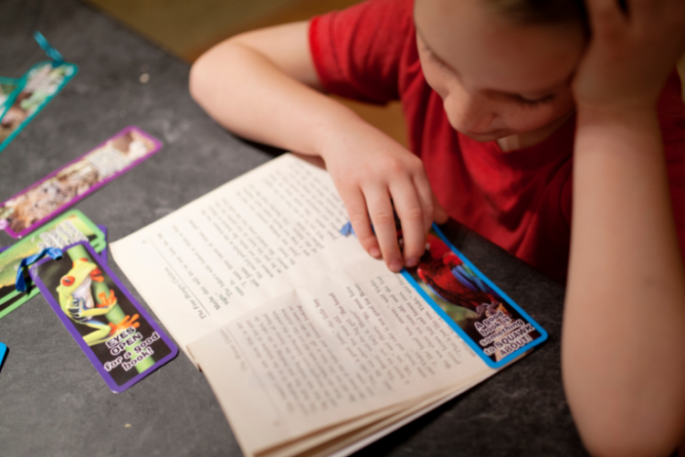 Homeschooling A Gifted Child Who Struggles With Reading