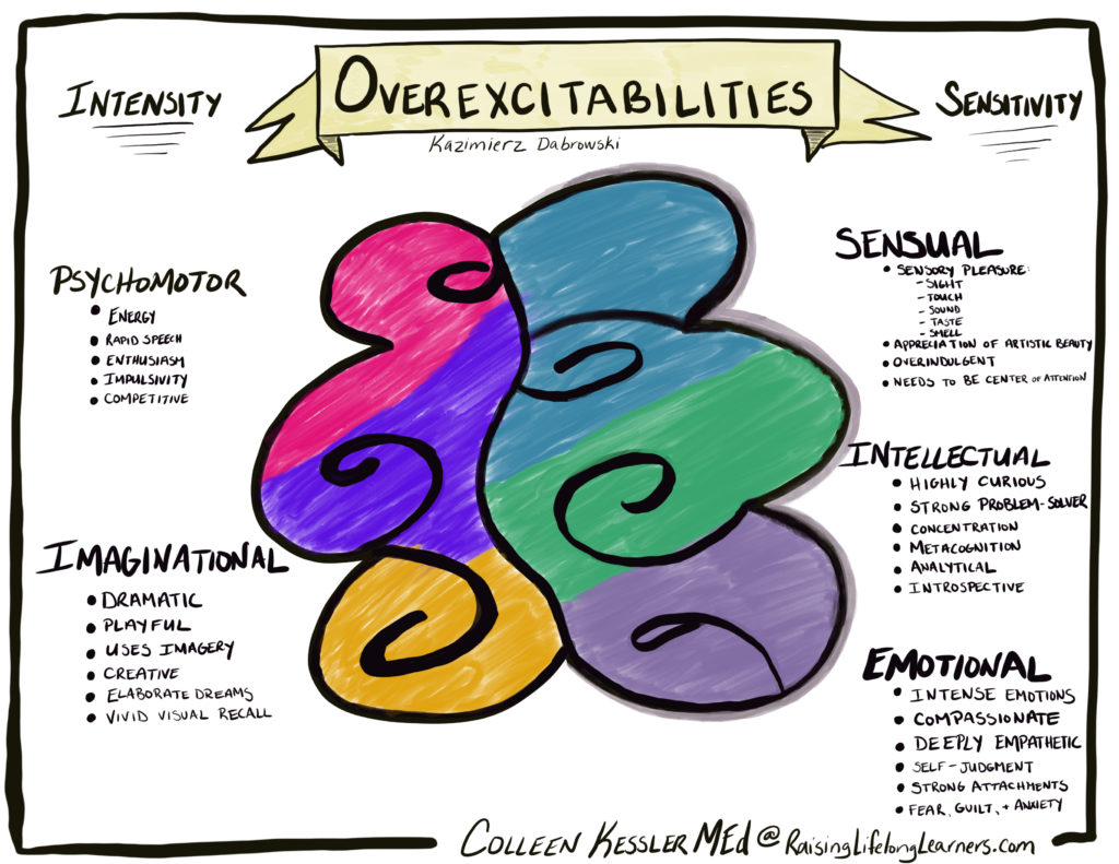 EREN 2017 - Emotional and Behavioral Characteristics of Gifted Children and  Their Families | PDF | Intellectual Giftedness | Attention Deficit  Hyperactivity Disorder