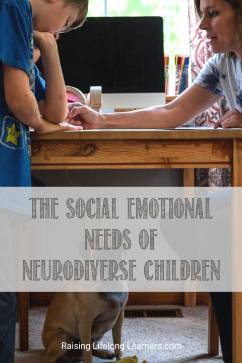 The Social Emotional Needs Of Gifted And Neurodiverse Children ...