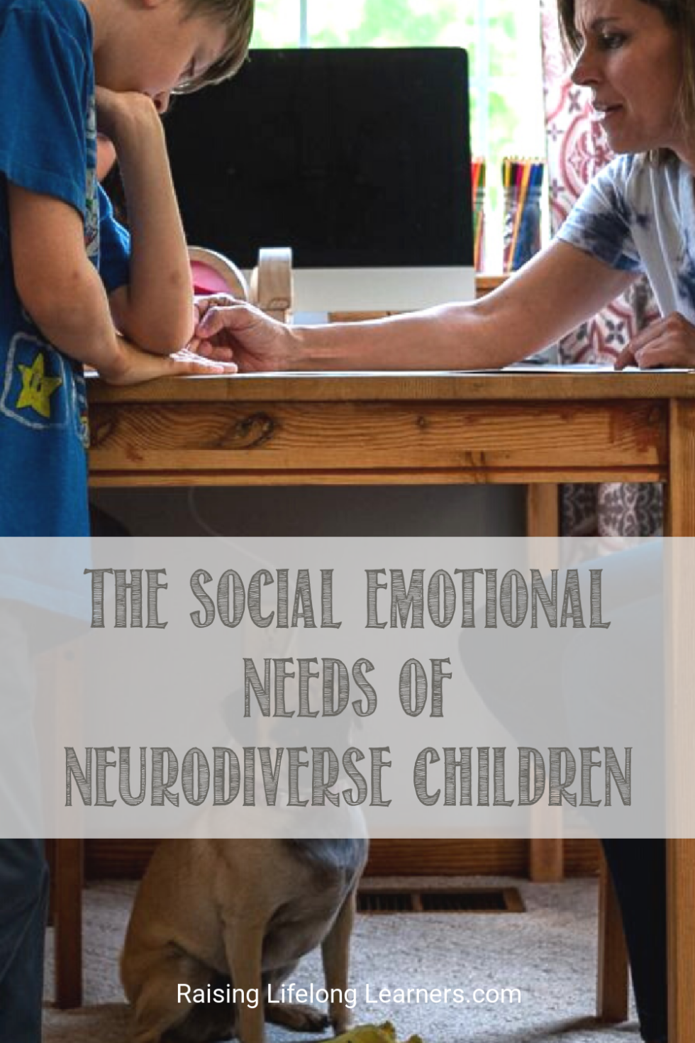 The Social Emotional Needs Of Gifted And Neurodiverse Children ...
