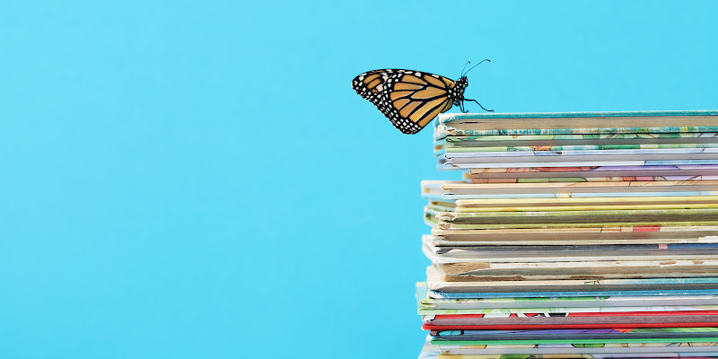 Confidently Planning Your Homeschool Year: Tools, Tips, and Real-Life Strategies